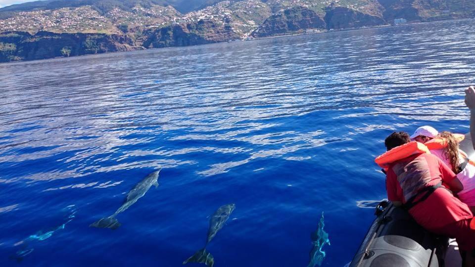 Paul do Mar BY SEA Paul do Mar (Madeira) Exterior foto
